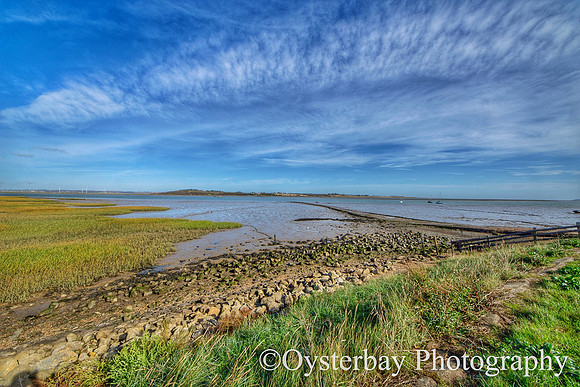 OBP_Oare_20201007A_026