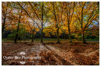 OBP_Clowes_231020_032