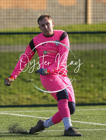 StanhopeRes_2-11_FortunaSwans_011