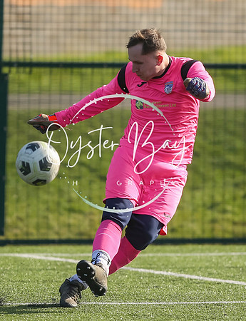 StanhopeRes_2-11_FortunaSwans_009