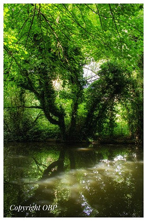 OBP_Apsley_005