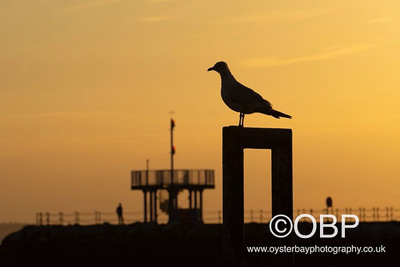 OBP_HerneBay_SS_038