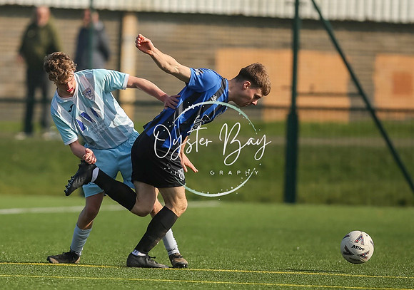 StanhopeRes_2-11_FortunaSwans_115