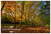 OBP_Clowes_231020_031