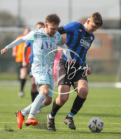 StanhopeRes_2-11_FortunaSwans_400