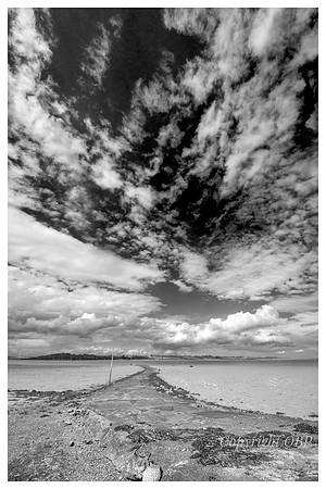 OBP_Oare_100