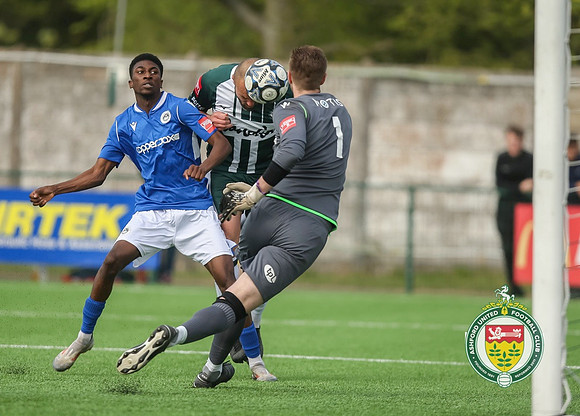 Ashford_(3)_5-3_(3)_HytheTown_317