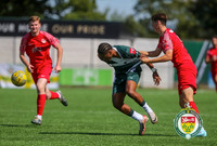 PSF_Ashford_0-1_HytheTown_011