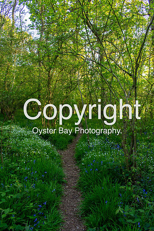 OBP_21042020_015
