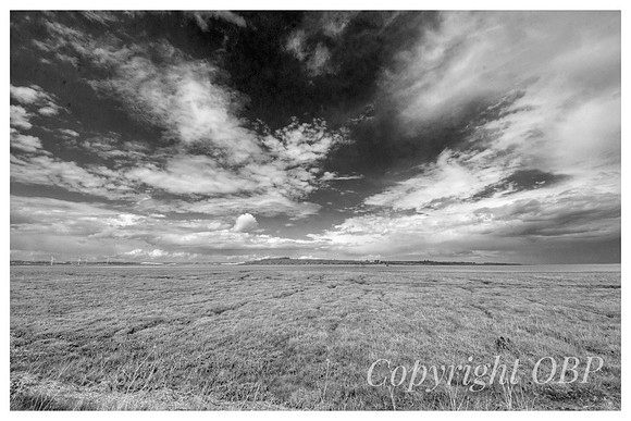 OBP_Oare_074