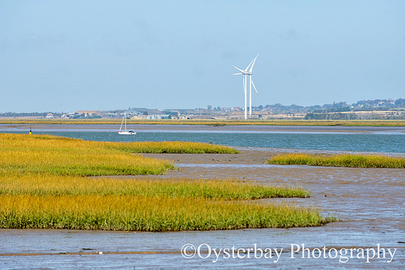 OBP_Oare_20201007A_009