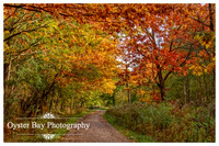 OBP_Clowes_231020_025