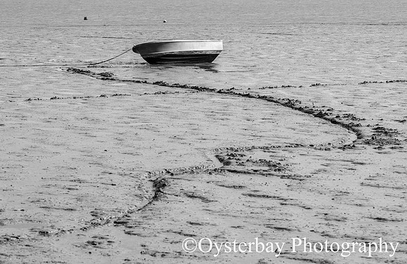 OBP_Oare_20201007A_007