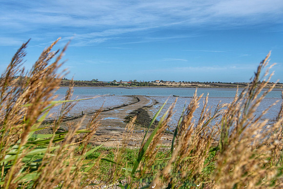 OBP_Oare_20201007A_004