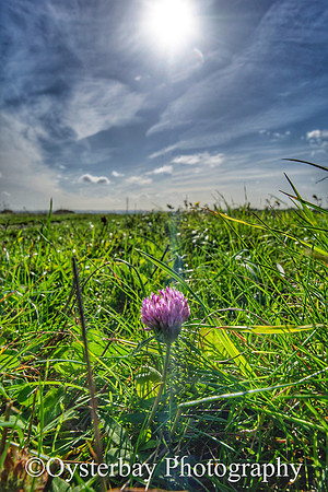 OBP_Oare_20201007A_032