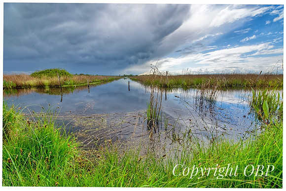 OBP_Oare_035