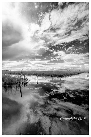 OBP_Oare_042