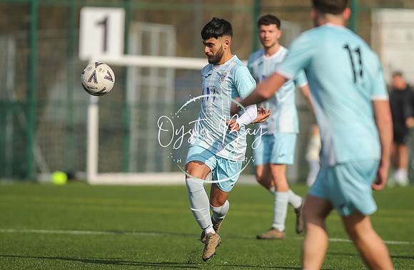 StanhopeRes_2-11_FortunaSwans_160