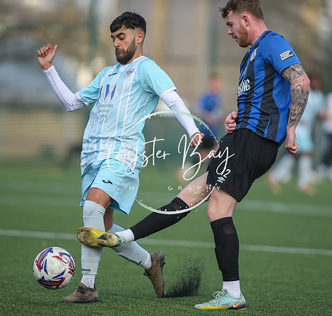 StanhopeRes_2-11_FortunaSwans_201