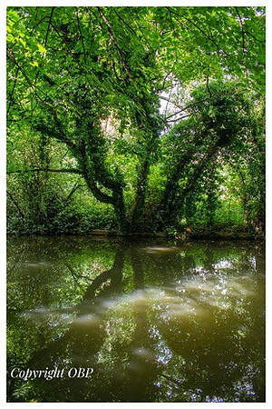 OBP_Apsley_032