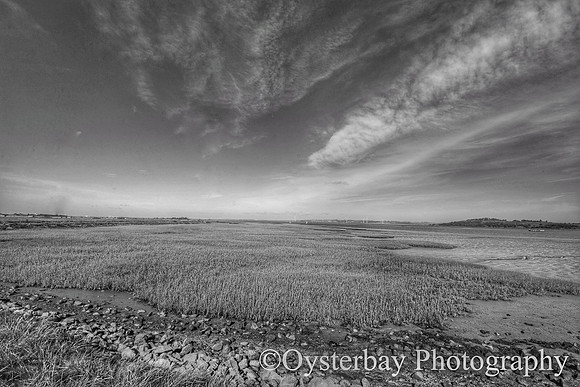 OBP_Oare_20201007A_025