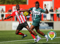 Isthmian League South East
