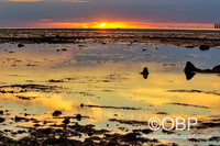 OBP_HerneBay_SS_016