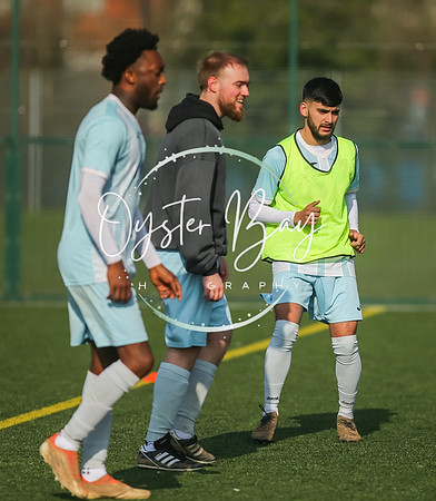 StanhopeRes_2-11_FortunaSwans_040