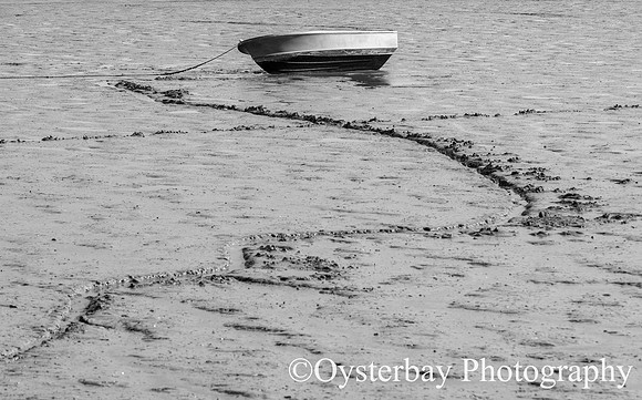 OBP_Oare_20201007A_008