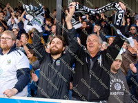 Fans
