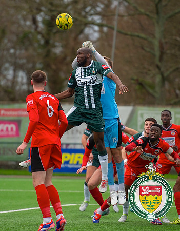 Ashford_v_Phoenix__086