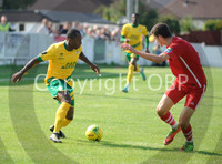 WTFCvAUFC_008