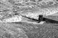 OBP20201014_hb_REC_001