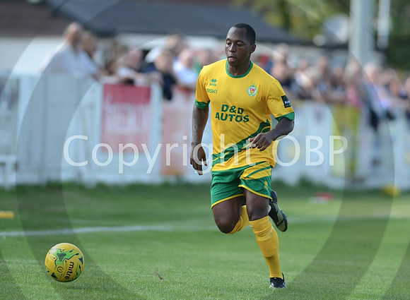 WTFCvAUFC_049