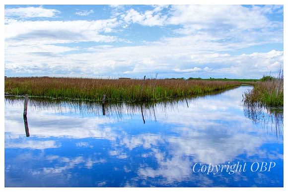 OBP_Oare_044