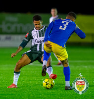 Ashford_3-1_Lancing_League_008