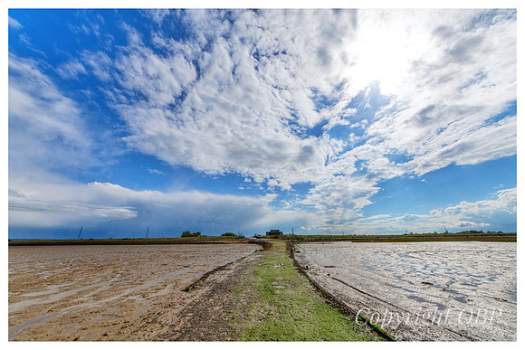 OBP_Oare_111