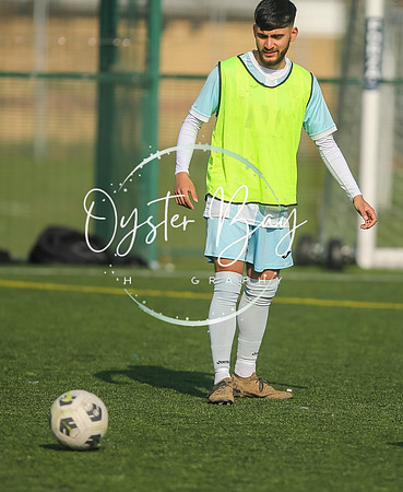 StanhopeRes_2-11_FortunaSwans_036
