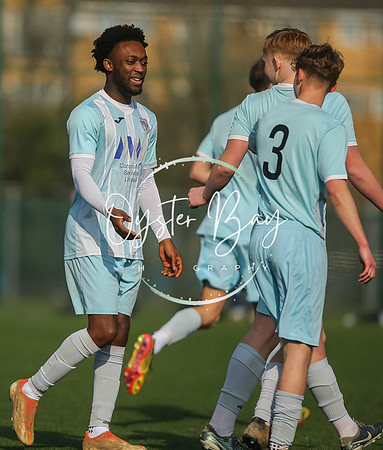 StanhopeRes_2-11_FortunaSwans_100