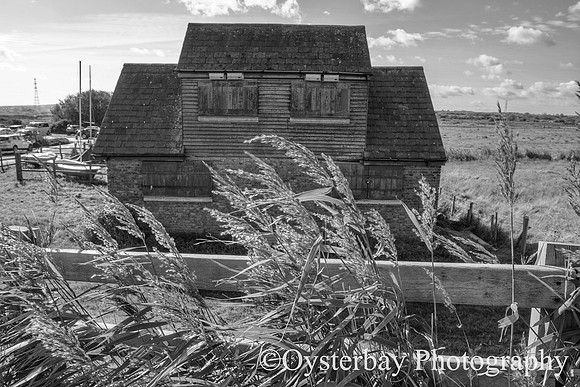 OBP_Oare_20201007A_039_1