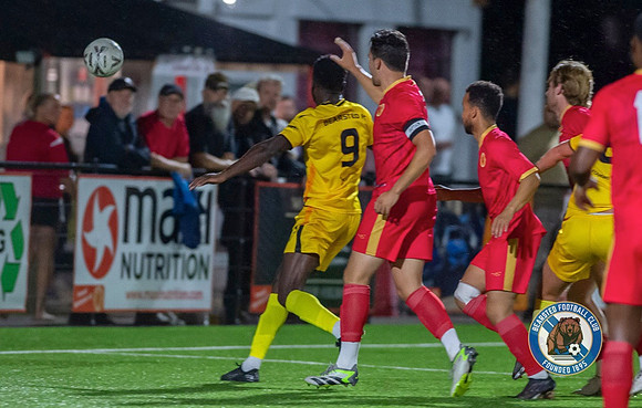 SECFL_WTFC_2-1_BFC_091