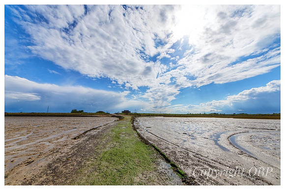 OBP_Oare_110