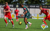 PSF_Ashford_0-1_HytheTown_013