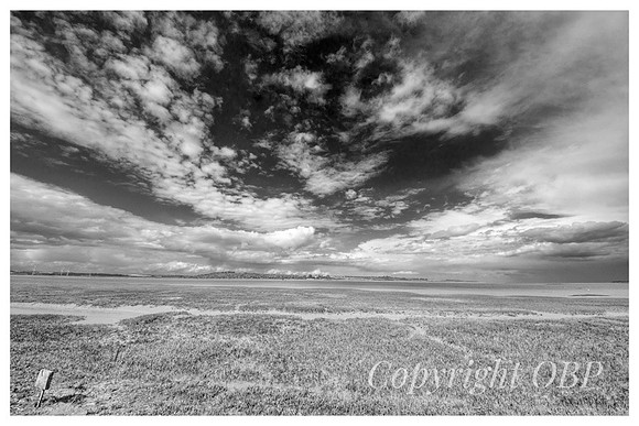 OBP_Oare_080