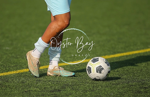 StanhopeRes_2-11_FortunaSwans_032