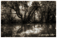 OBP_Apsley_007