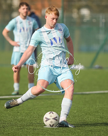 StanhopeRes_2-11_FortunaSwans_373