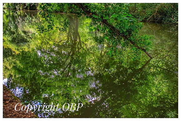 OBP_Apsley_031