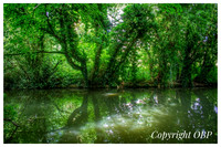 OBP_Apsley_008