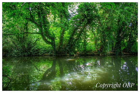 OBP_Apsley_008